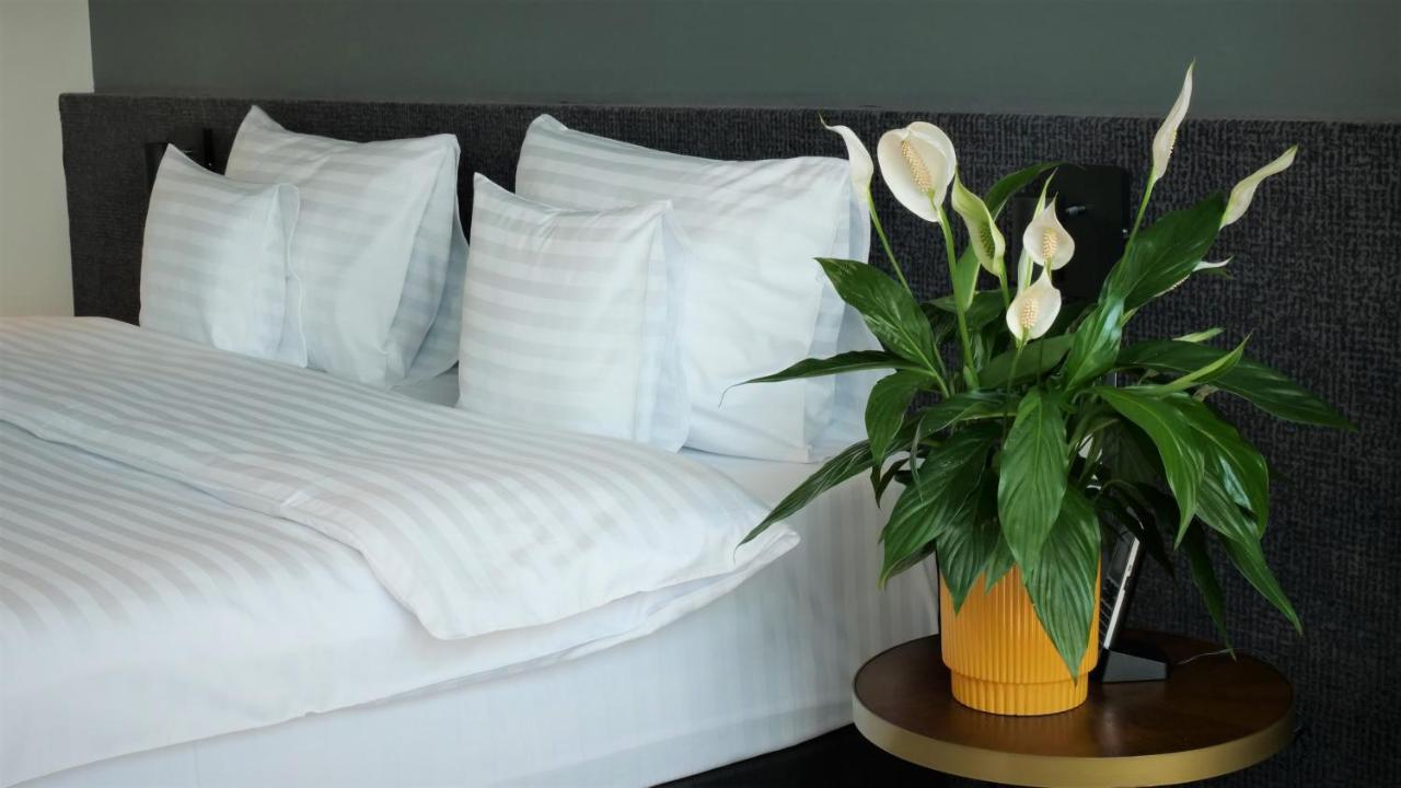 Werk Hotel & Spa Хунедоара Екстер'єр фото